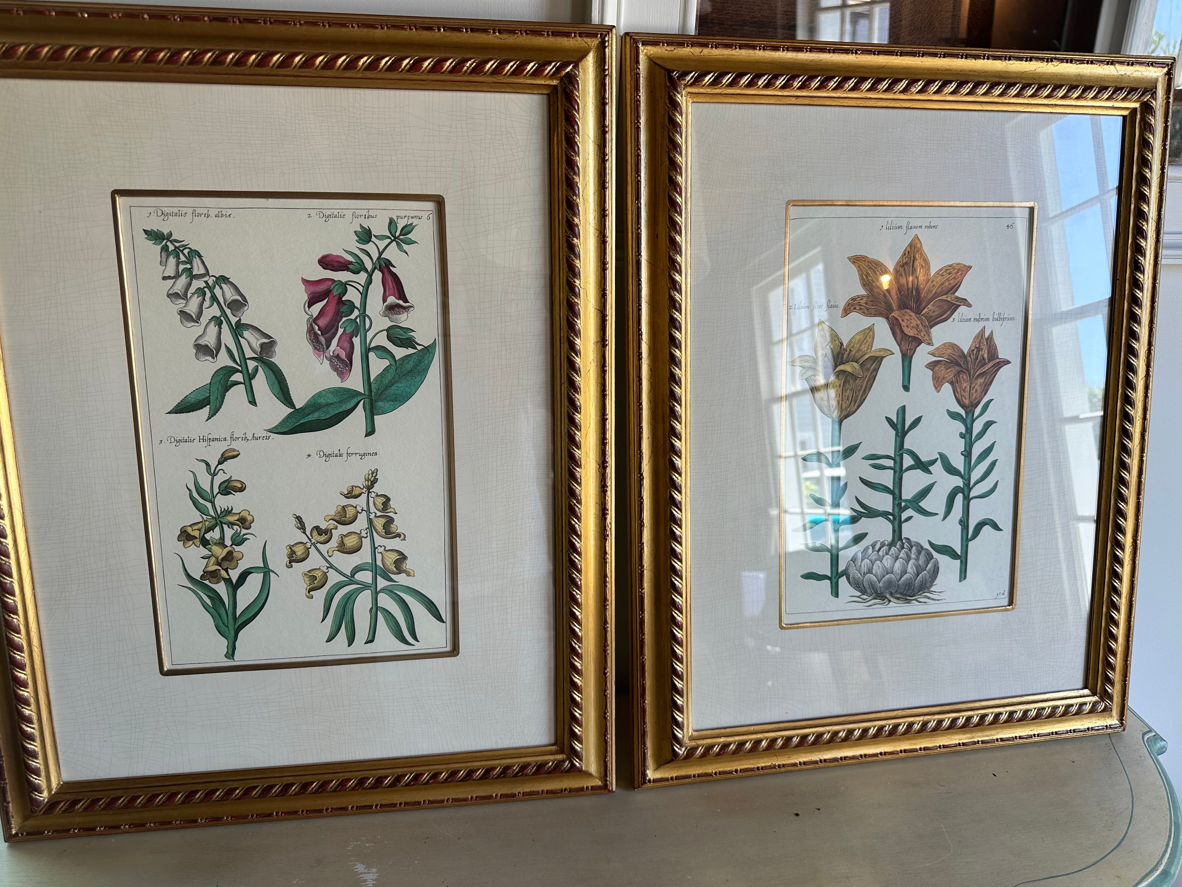 Pair of Johann Theodore de Bry prints