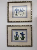 Iris prints (sold as a pair)