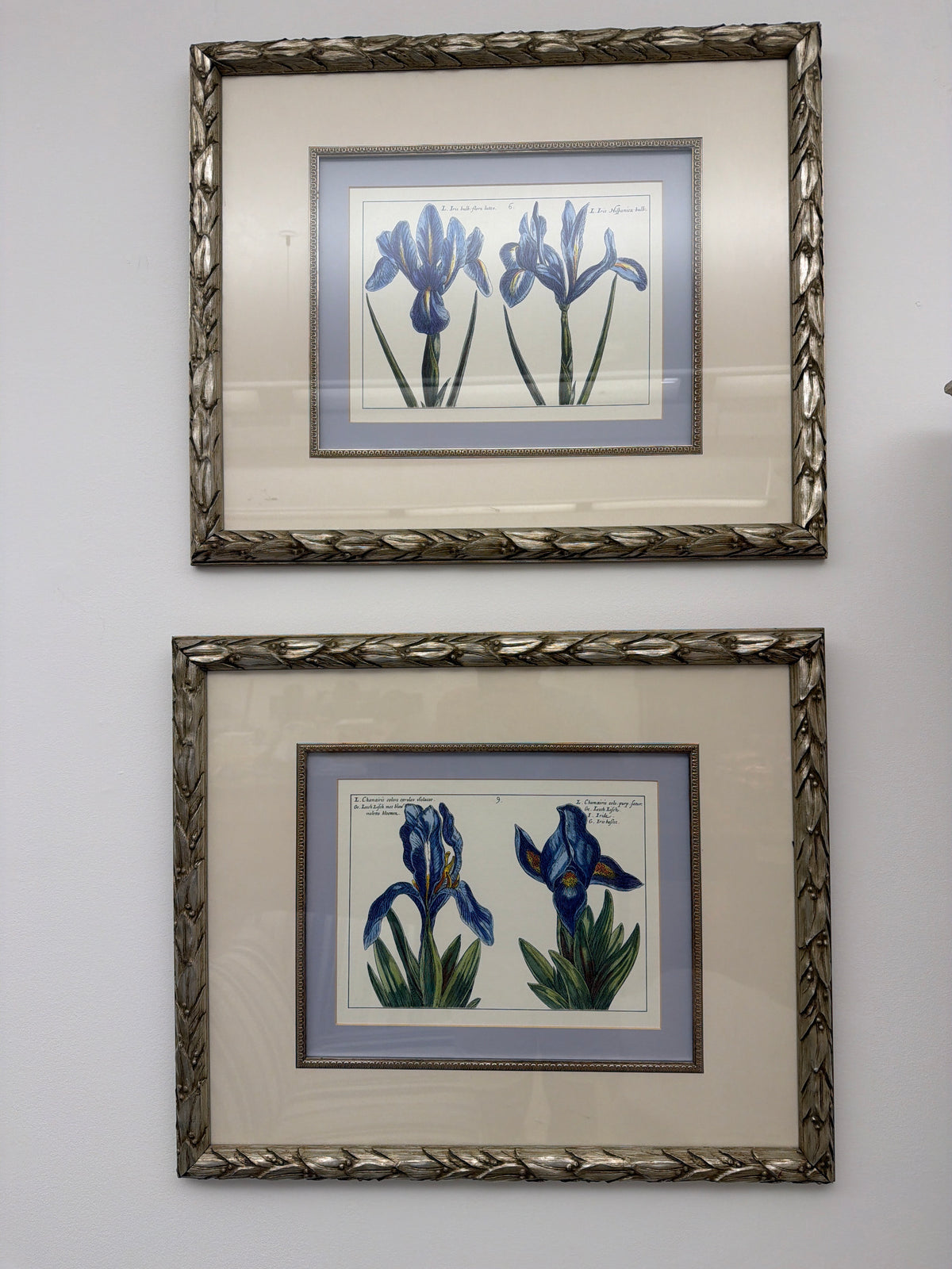 Iris prints (sold as a pair)